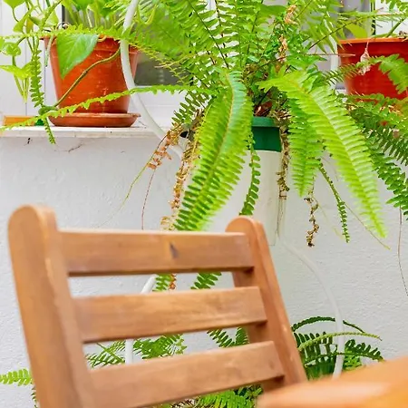 Apartamento Wish Alameda De Sevilha